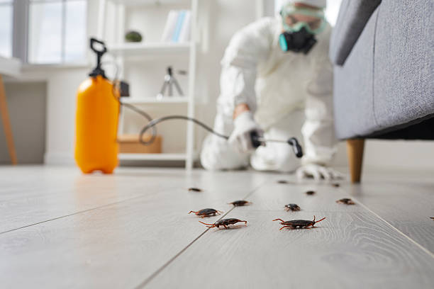 Commercial Kitchen Cockroach Control in South Jordan